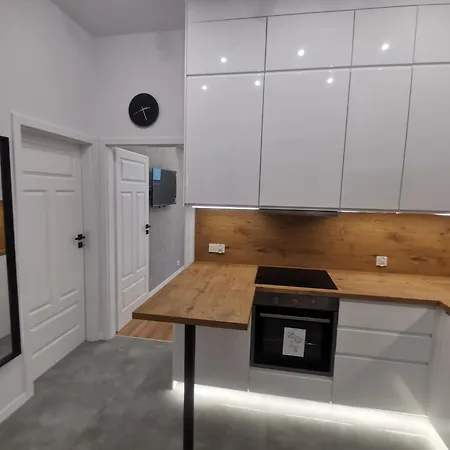 Lägenhet Ready4you Apartament In Cracow With Garden Near Bagry Lake / Close To City Center / Facilities / Caly Apartament Z Ogrodkiem, Szybki Dojazd Do Centrum, Udogodnienia